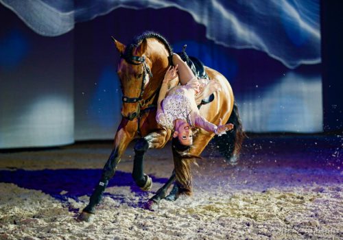 Cavalflip image1