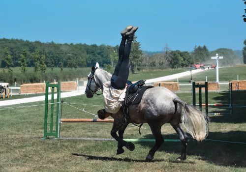 DEMONSTRATION EQUESTRE_Jules Coquerelle_23baad3b-f6a3-4307-ac0c-ae740f49c7cd