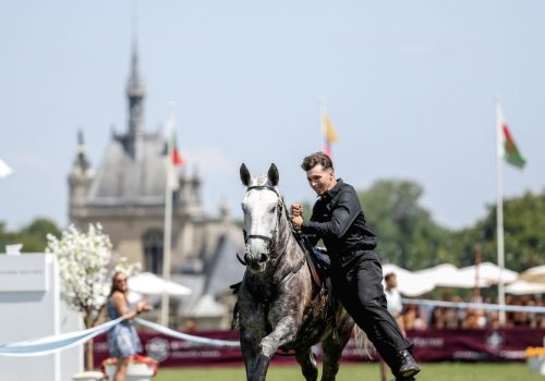 DEMONSTRATION EQUESTRE_Jules Coquerelle_IMG_4841
