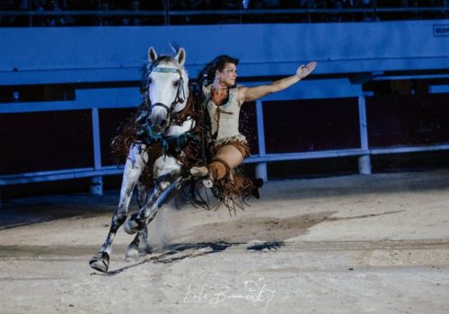 DEMONSTRATION EQUESTRE_Jules Coquerelle_att.u8pHSw3mtMKRwkIlzwlfKeDtUhA9XXI0kcddafBoRhY