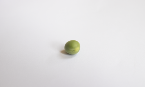 Géopolitique du petit pois Lucie Verpraet _ Vertical Détour - Géopolitique du petit pois 2
