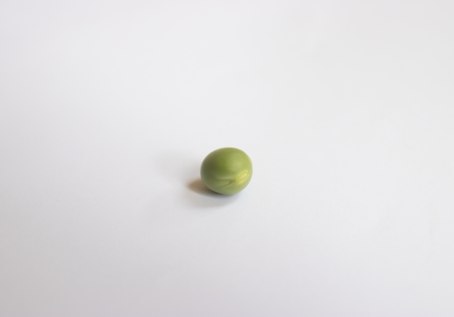 Géopolitique du petit pois Lucie Verpraet _ Vertical Détour - Géopolitique du petit pois 2