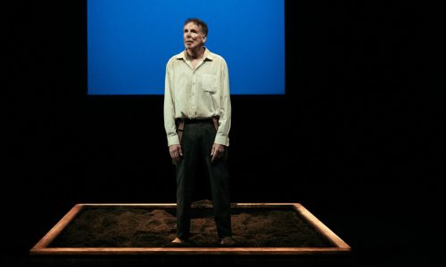 L_HOMME_QUI_PLANTAIT_DES_ARBRES_Fanchon_Bilbille_2024-2-4