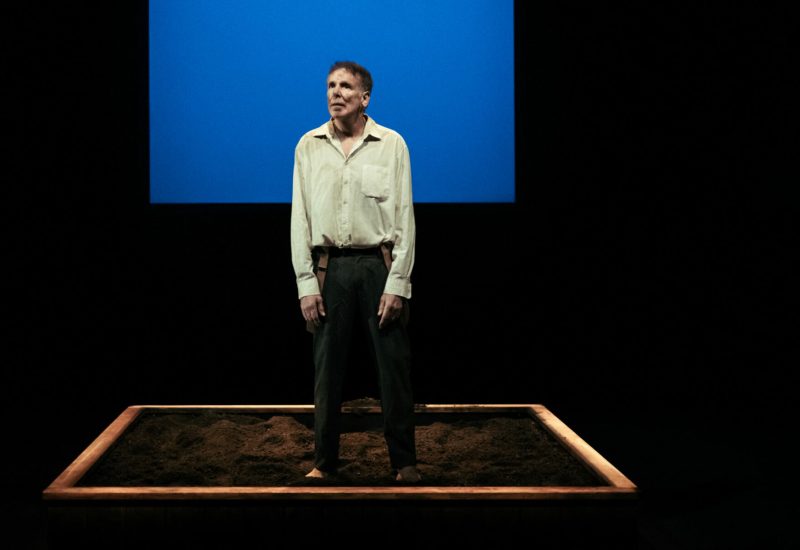 L_HOMME_QUI_PLANTAIT_DES_ARBRES_Fanchon_Bilbille_2024-2-4