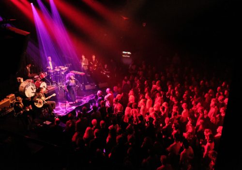 Michelle David & The True Tones MDTT XL - libre de droit