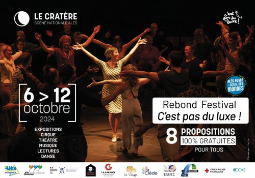 Rebond Festival C'est pas du Luxe ! affiche a4 pano