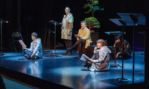 Spectacle Festival du livre