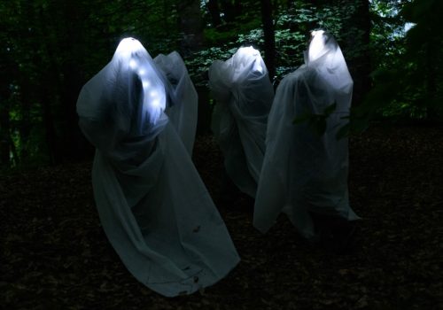 Wi_sortie-de-residence_©JCBruet5