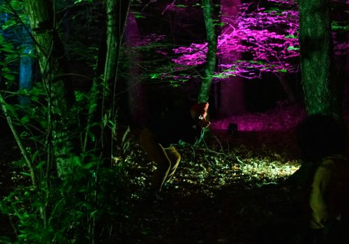 Wi_sortie-de-residence_©JCBruet7