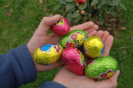 chasse aux oeufs