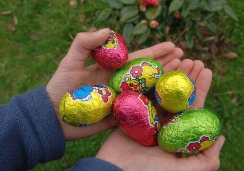 chasse aux oeufs