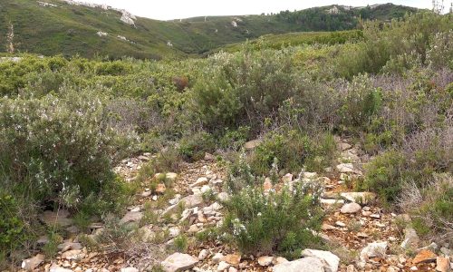 garriguefix-1920x1080